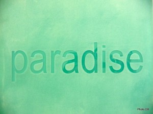 RURART OLGA K PARADISE