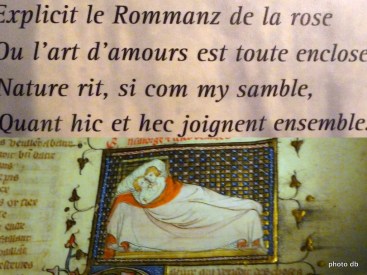 LE ROMAN DE LA ROSE EXPO