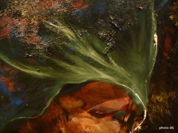 Ronan Barrot, "Le Voile" (détail), 2010, coll. particulière © db