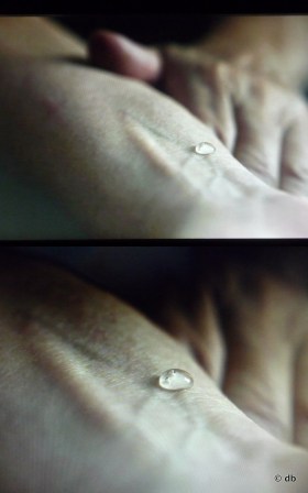 Ismaïl Bahri, "Ligne" © db