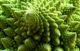 choux-romanesco © DR