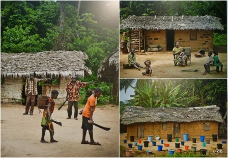 "Sur la route de Bikoro à Bokonda", Patrick Willocq © montage db