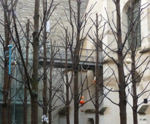 ARBRE DE VIE MERCIER