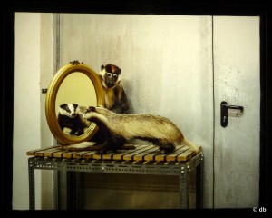 "Skeletons in the closets", Klaus Pichler © db