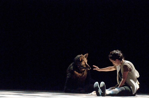 Le petit chaperon rouge@Elisabeth Carecchio 