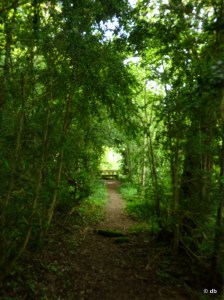 Château de La Roche-Guyon, vue du jardin anglais © db