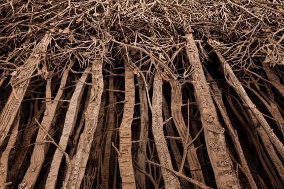 Éva Jospin,"Forêt", 2013 © Raphaël Lugassy