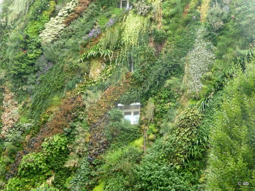 L'Oasis d'Aboukir, détail © db