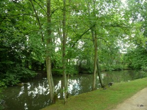 Domaine Caillebotte : les bords de l'Yerres © db