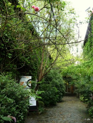 Le chemin du Montparnasse © db