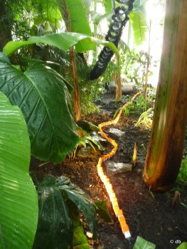 Alexis Tricoire, "Hybridations"/"Hommage à Nils Udo" © db