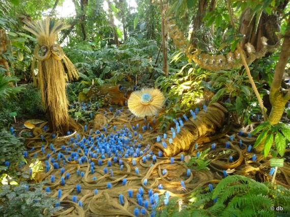 Alexis Tricoire, "Hybridations"/"La clairière aux Chablis" © db