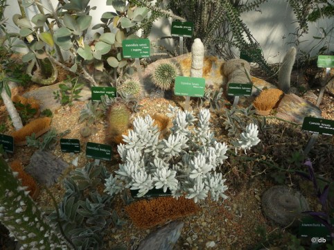 Cherchez les brosses… © db