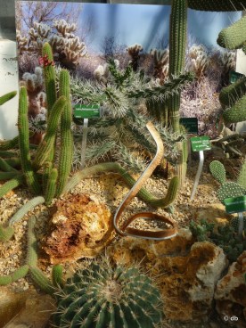 Alexis Tricoire, "Hybridations" / "Serpents des roches" © db