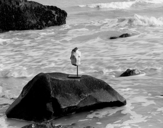 "Braque de Varengeville", La Vénus d'Ailly © Yves Chevallier