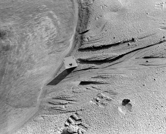 "Braque de Varengeville", La tireuse de cartes ou La patience © Yves Chevallier