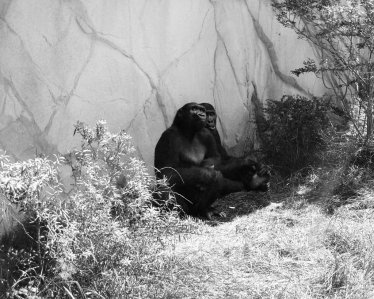 Marie Quéau, "guetteur de lune"© Marie Quéau