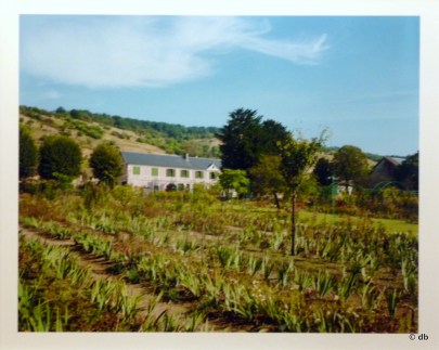 Stephen Shore, Giverny, 1977 © Stephen Shore, par l'intermédiaire de la 303 Gallery, New York