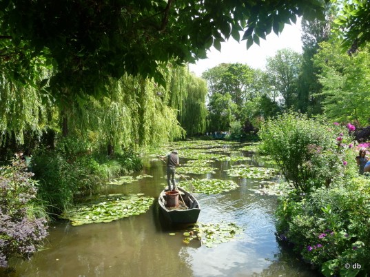 L'étang aux nymphéas, 30 juillet 2015 © Debelleschoses.fr/db 