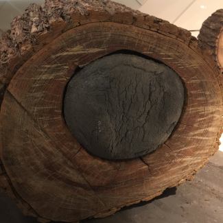 Keen Souhlal, "Pyrophyte" / Burberry/ Photo A.Berteigne