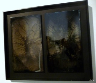 Pascal Mirande, "Héliotropisme" 2013 / photo db