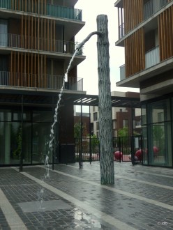 Didier Marcel, "Le Pin noir d'eau triche" /Photo db