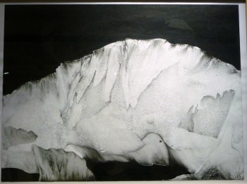 Yann Bagot, "Titans#01",2015 /photo db